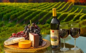 Exclusive Wine Tasting Tours in Napa Valley: A Taste of Luxury and Elegance